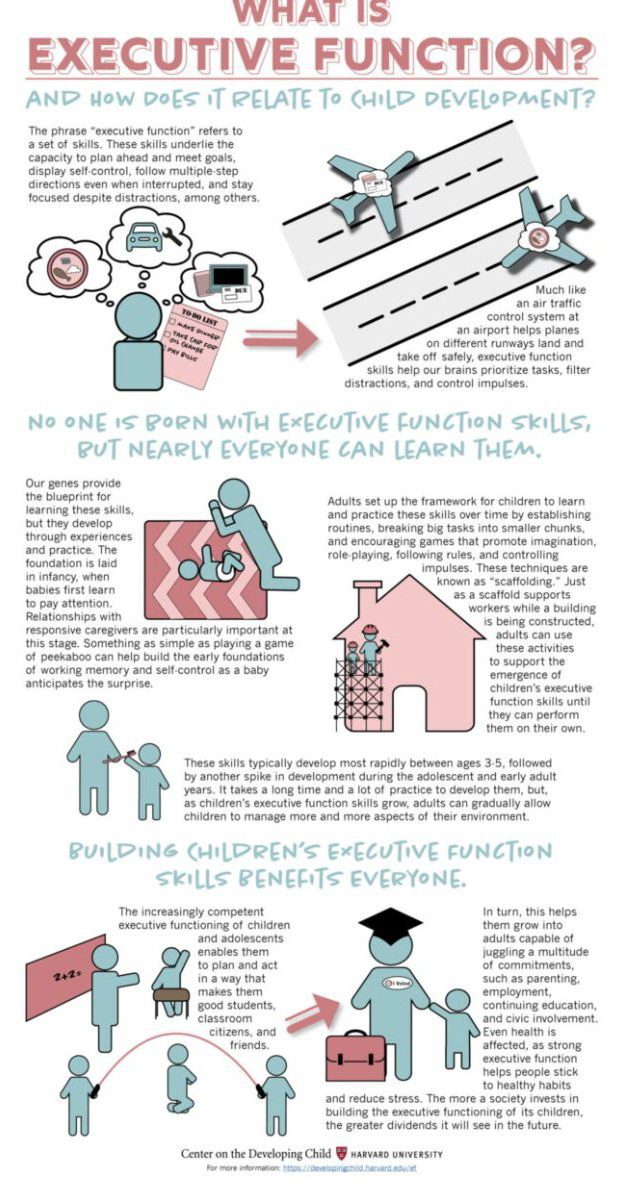 Harvard Research on Executive Function